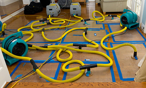 Professional Water Extraction technician working in Lafayette, OR